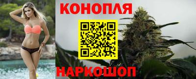 прущие грибы Кунгур