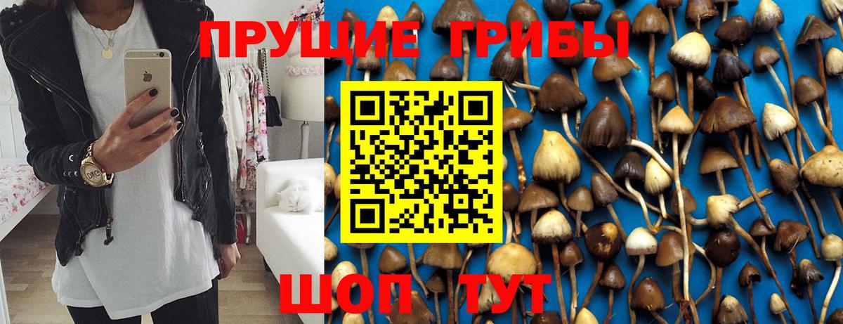Кизляр  Галлюциногенные грибы GOLDEN TEACHER  Вход с VPN 